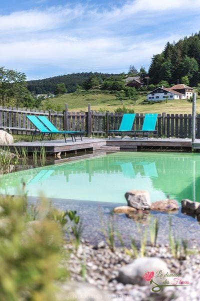 Le Domaine Des Fleurs - Appartement La Gentiane Gérardmer Exterior foto